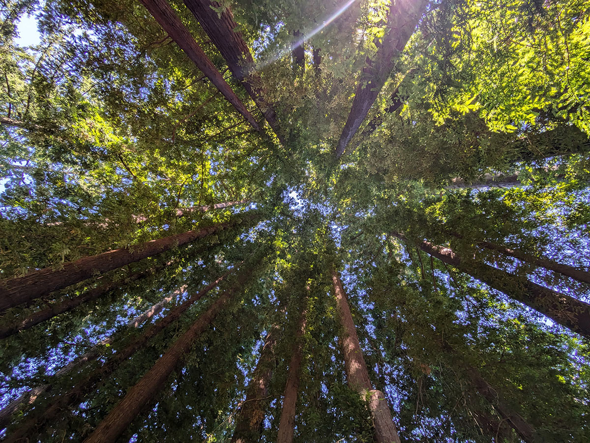 EXCEL-LENS Auz - Our sustainability focus